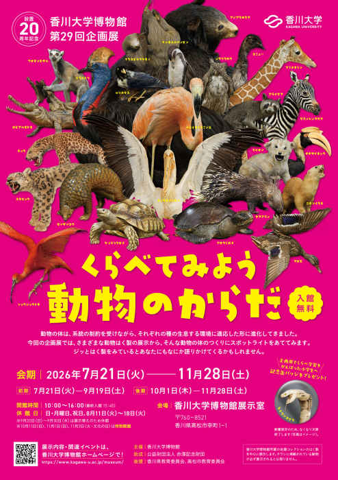 香川大学博物館 第29回企画展「くらべてみよう動物のからだ」